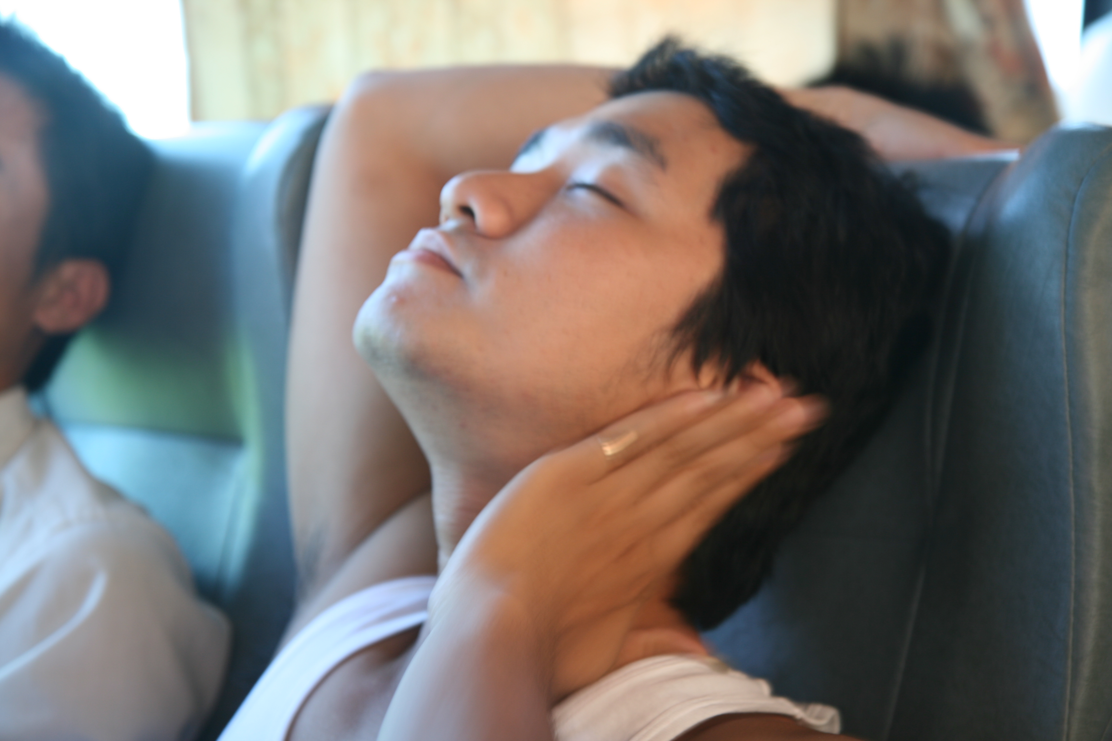 Kiến tập năm 2